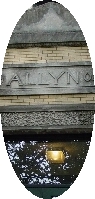 Allyn Building Picture